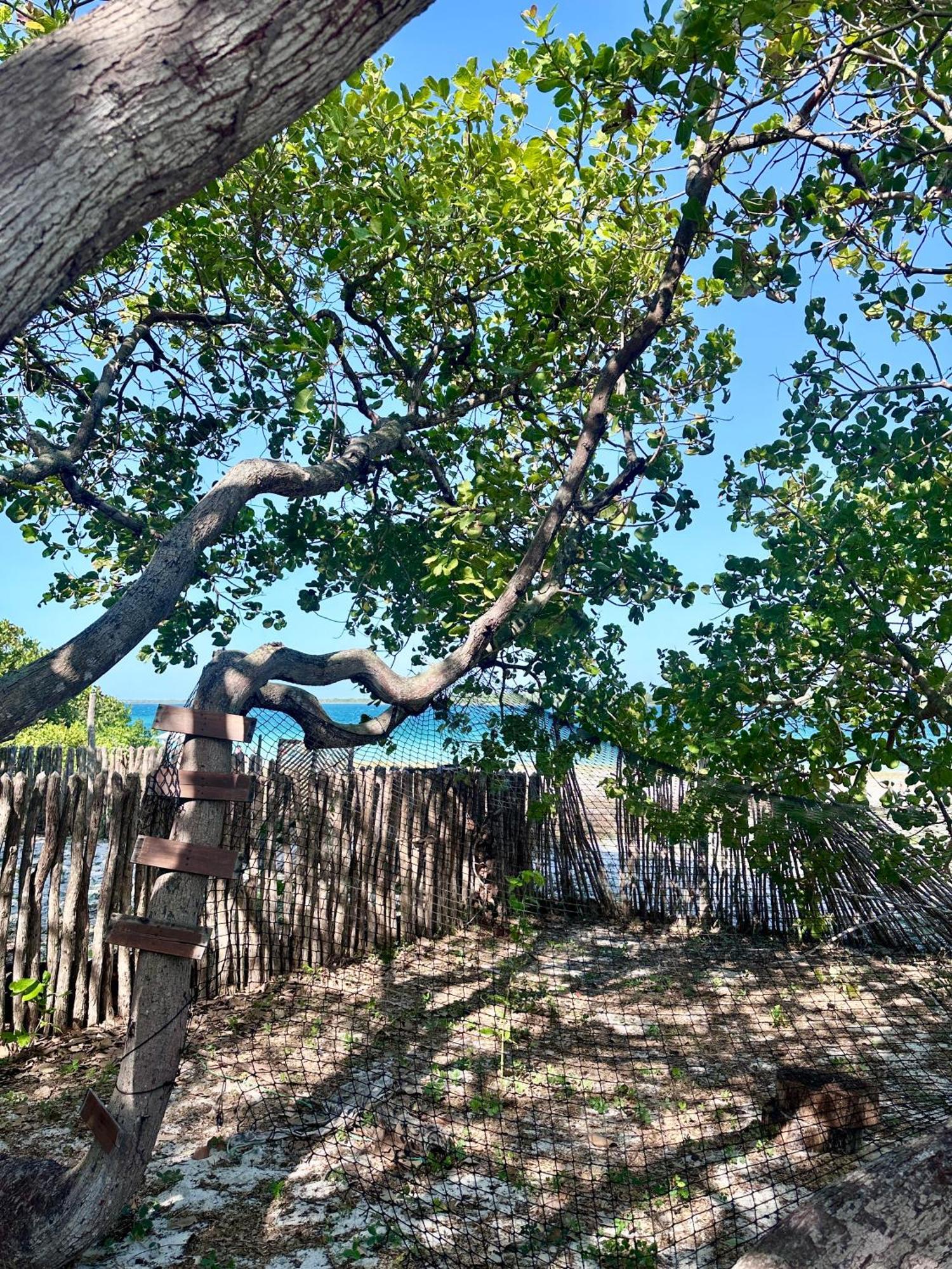 Manay Lagoa Do Paraiso, Casa 2 Quartos Na Beira Da Lagoa Villa Jijoca de Jericoacoara Eksteriør bilde